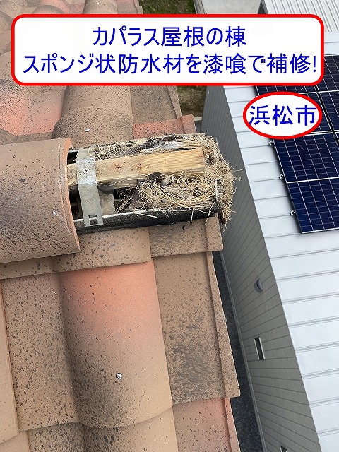浜松市でカパラス屋根の棟補修をご提案｜スズメの侵入口となったスポンジ状防水材を漆喰で補修！